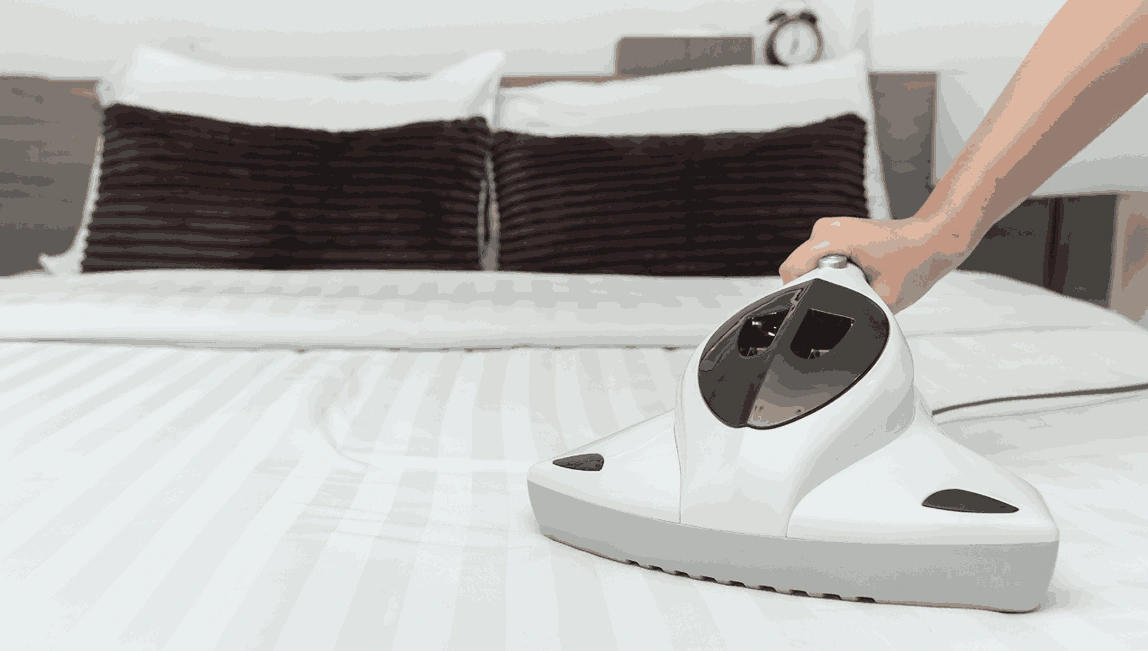Professional Mattress Cleaning Pootilla